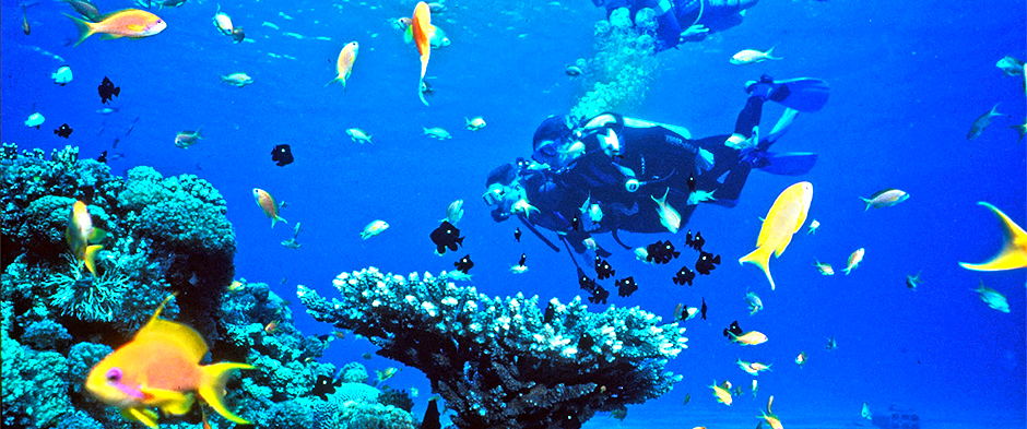 cozumel diving